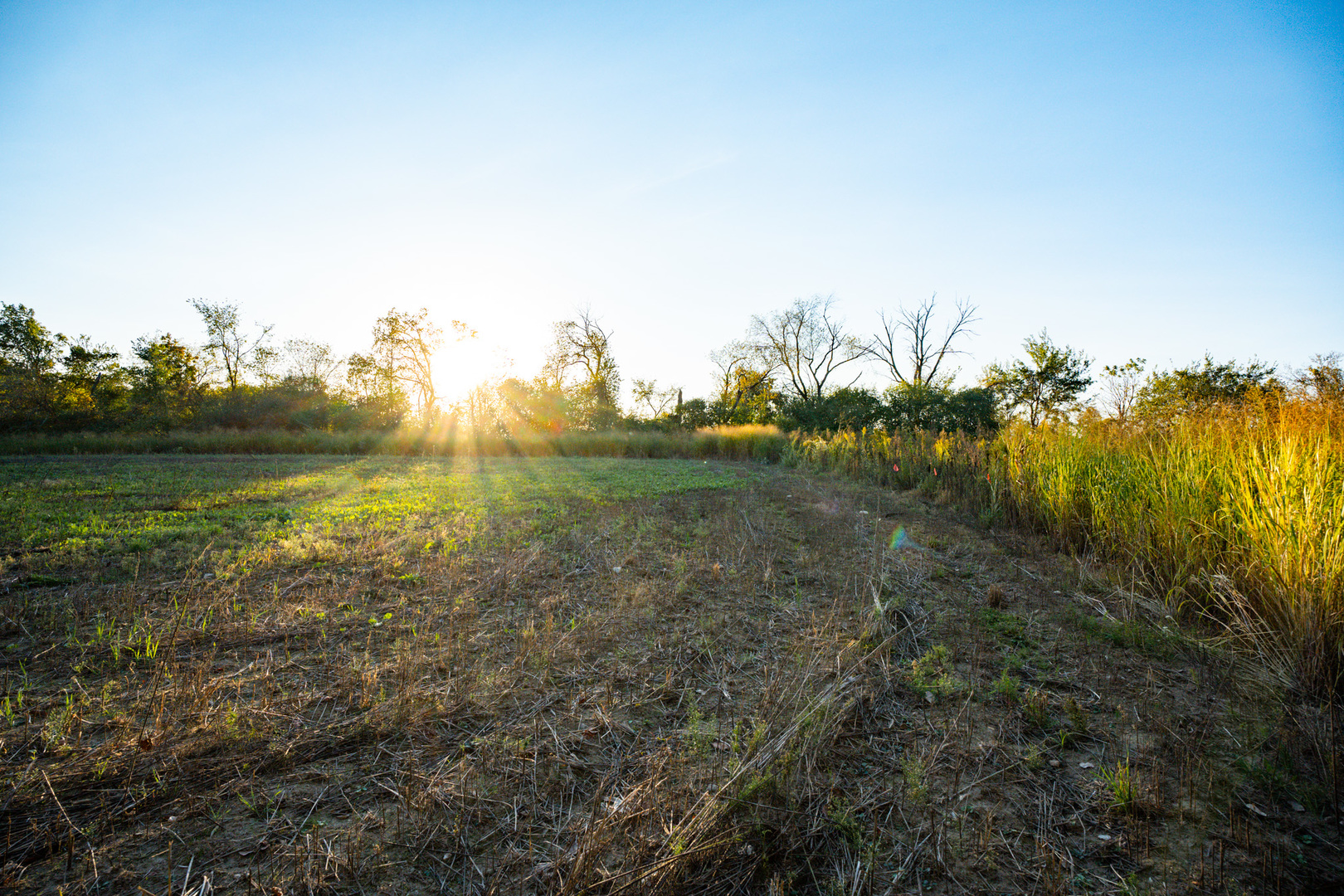 0 Lawrenceville Road Garden Prairie, IL 61038 - Photo 25 of 99 Gallery Image 25