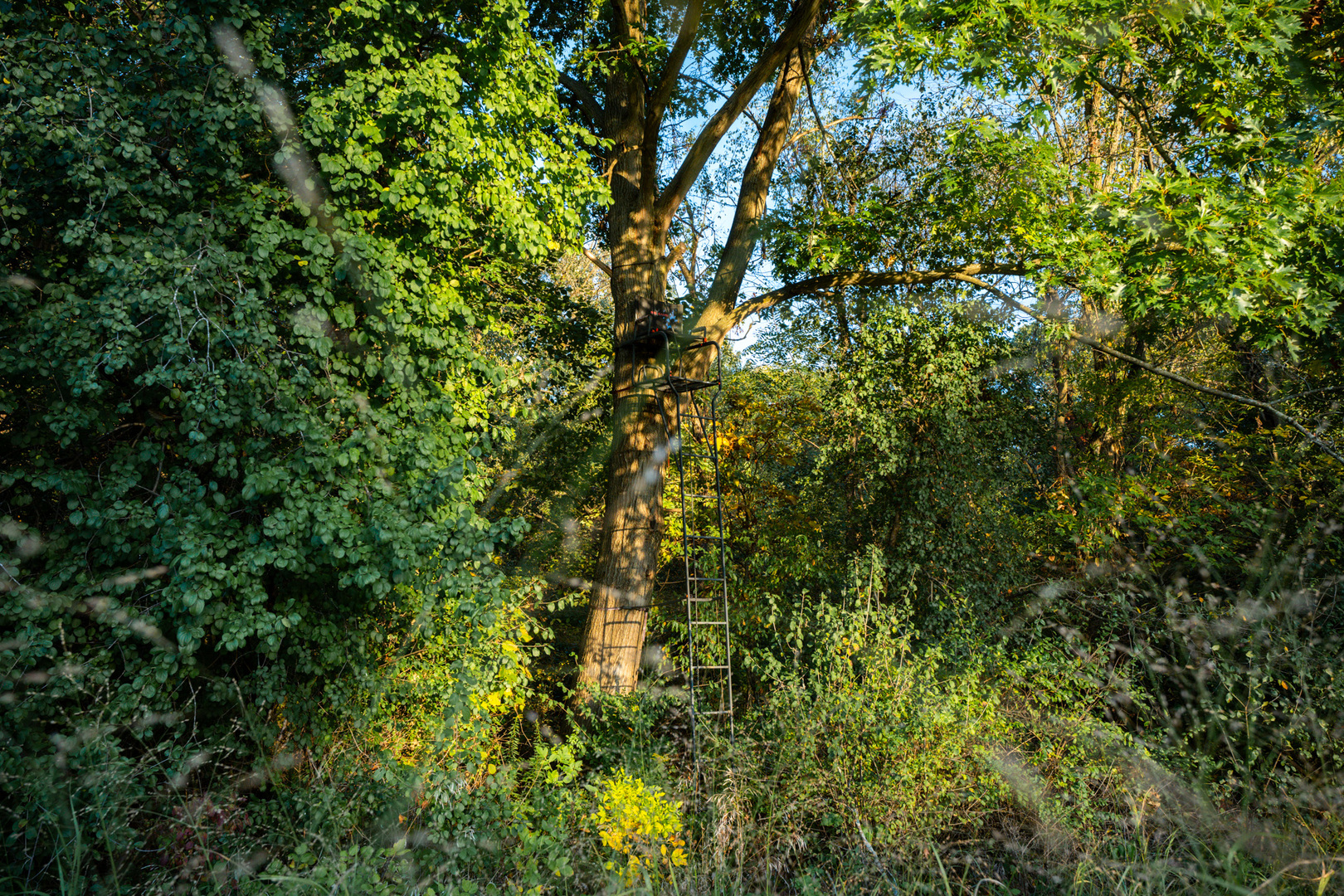 0 Lawrenceville Road Garden Prairie, IL 61038 - Photo 29 of 99 Gallery Image 29
