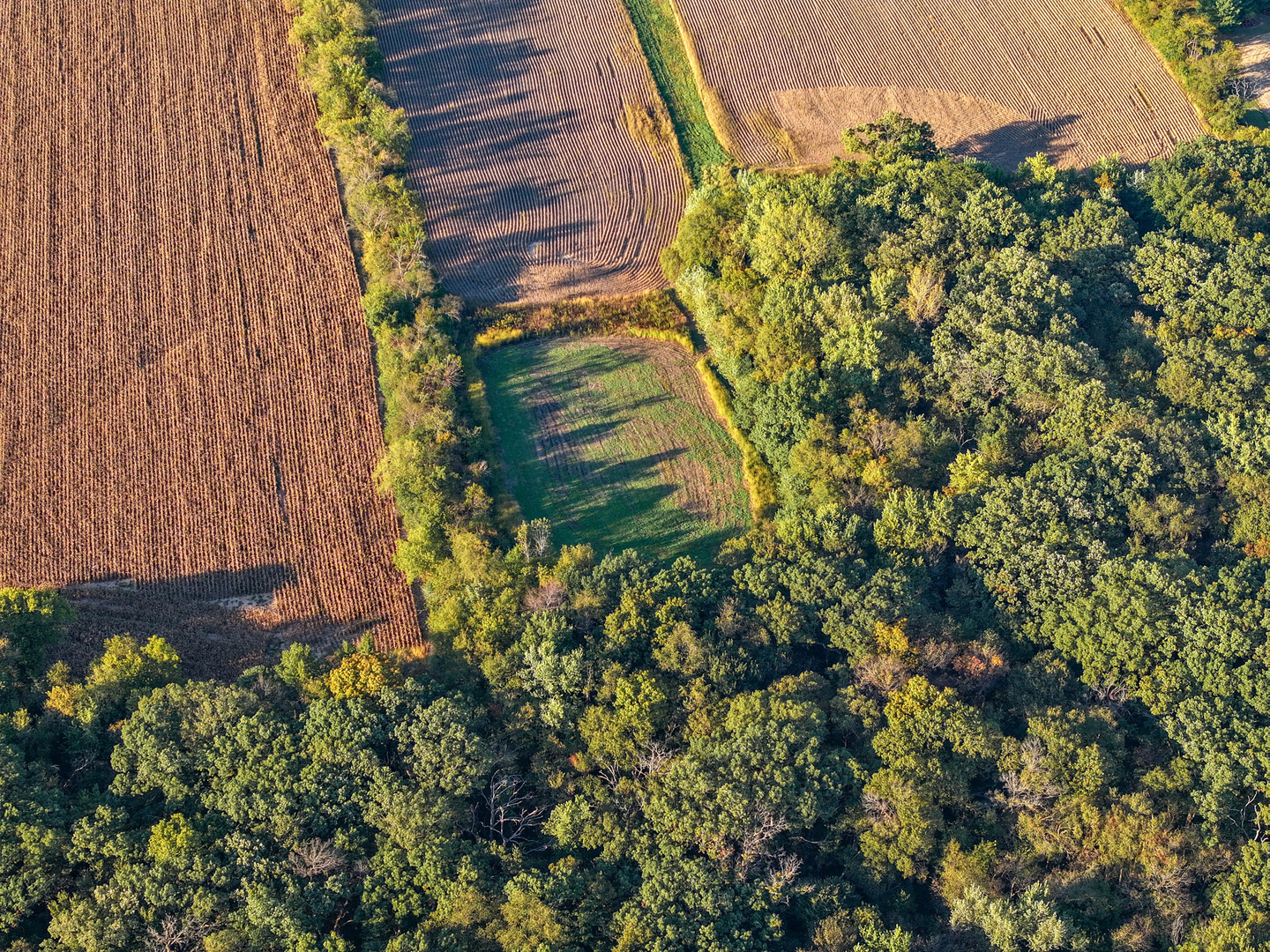 0 Lawrenceville Road Garden Prairie, IL 61038 - Photo 30 of 99 Gallery Image 30