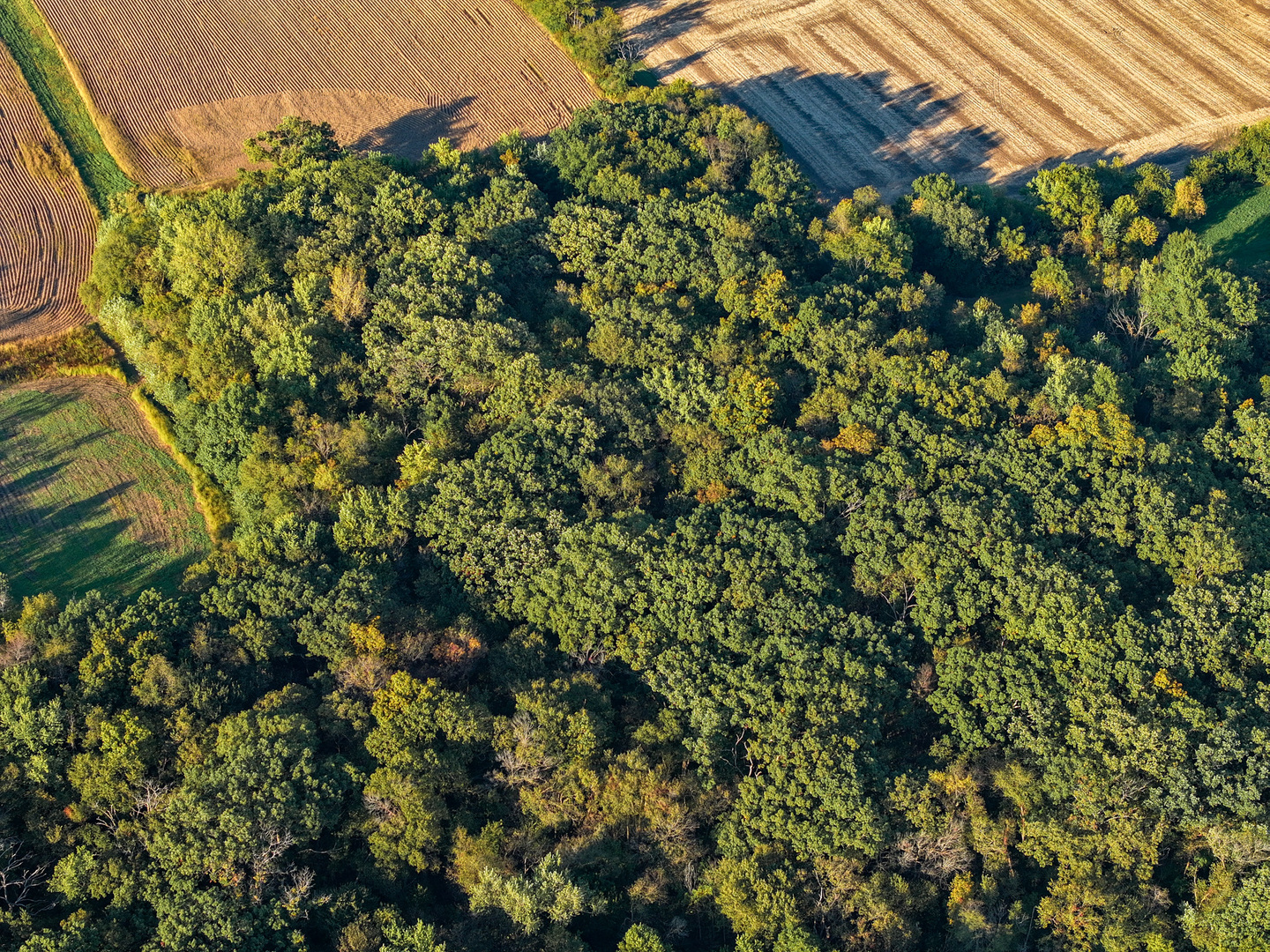 0 Lawrenceville Road Garden Prairie, IL 61038 - Photo 32 of 99 Gallery Image 32