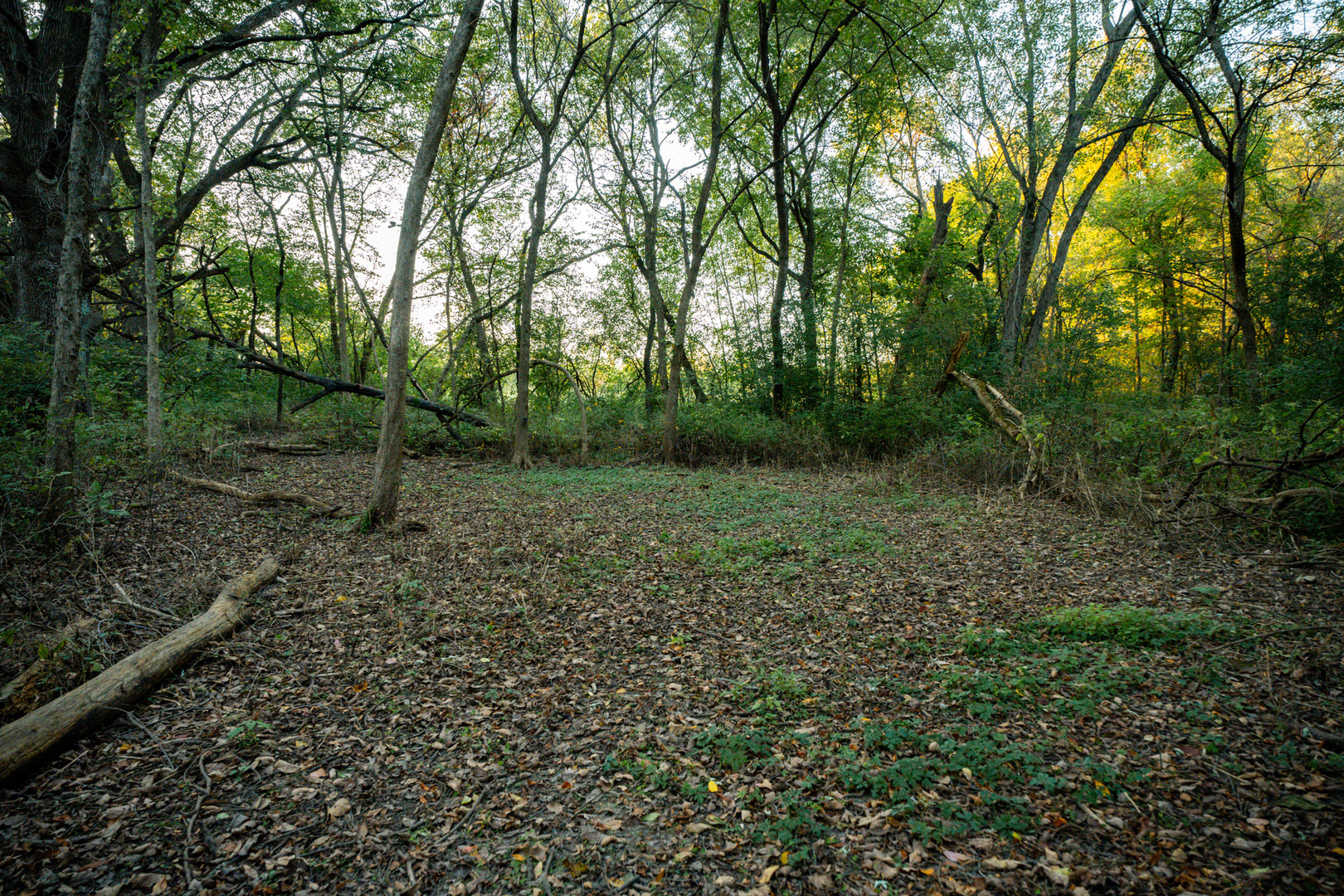 0 Lawrenceville Road Garden Prairie, IL 61038 - Photo 34 of 99 Gallery Image 34