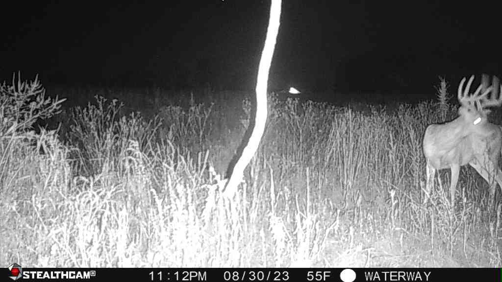 0 Lawrenceville Road Garden Prairie, IL 61038 - Photo 49 of 99 Gallery Image 49