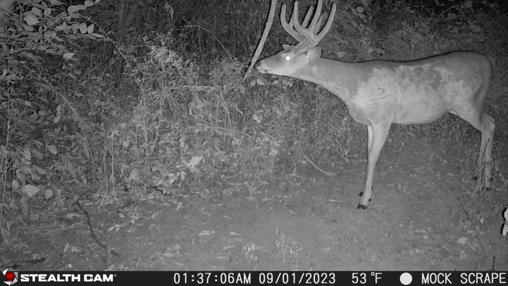 0 Lawrenceville Road Garden Prairie, IL 61038 - Photo 50 of 99 Gallery Image 50