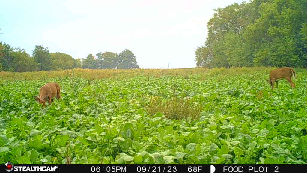 0 Lawrenceville Road Garden Prairie, IL 61038 - Photo 51 of 99 Gallery Image 51