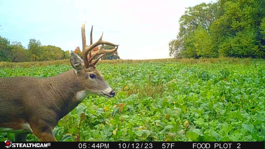 0 Lawrenceville Road Garden Prairie, IL 61038 - Photo 58 of 99 Gallery Image 58