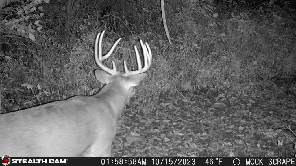 0 Lawrenceville Road Garden Prairie, IL 61038 - Photo 59 of 99 Gallery Image 59