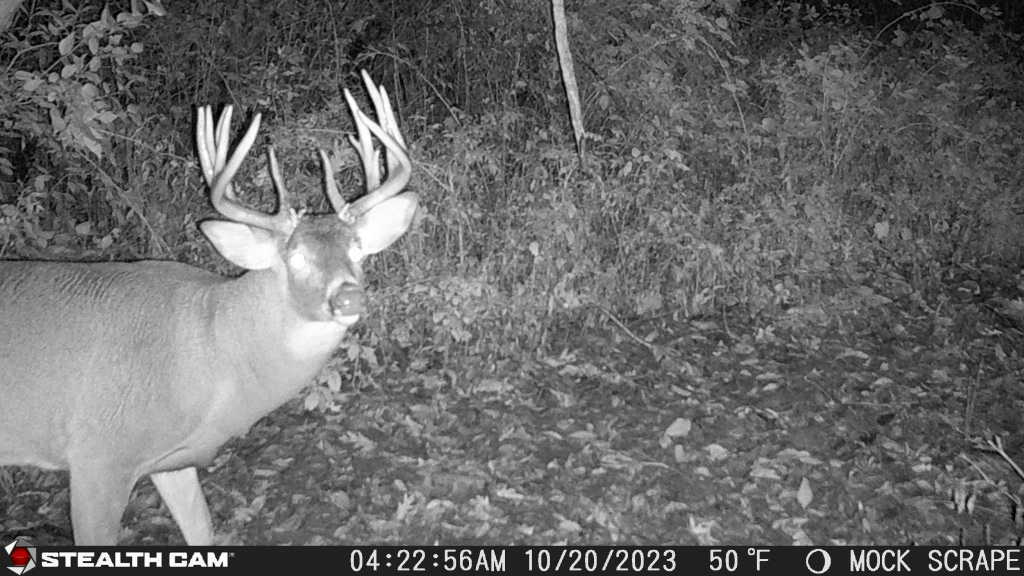 0 Lawrenceville Road Garden Prairie, IL 61038 - Photo 60 of 99 Gallery Image 60