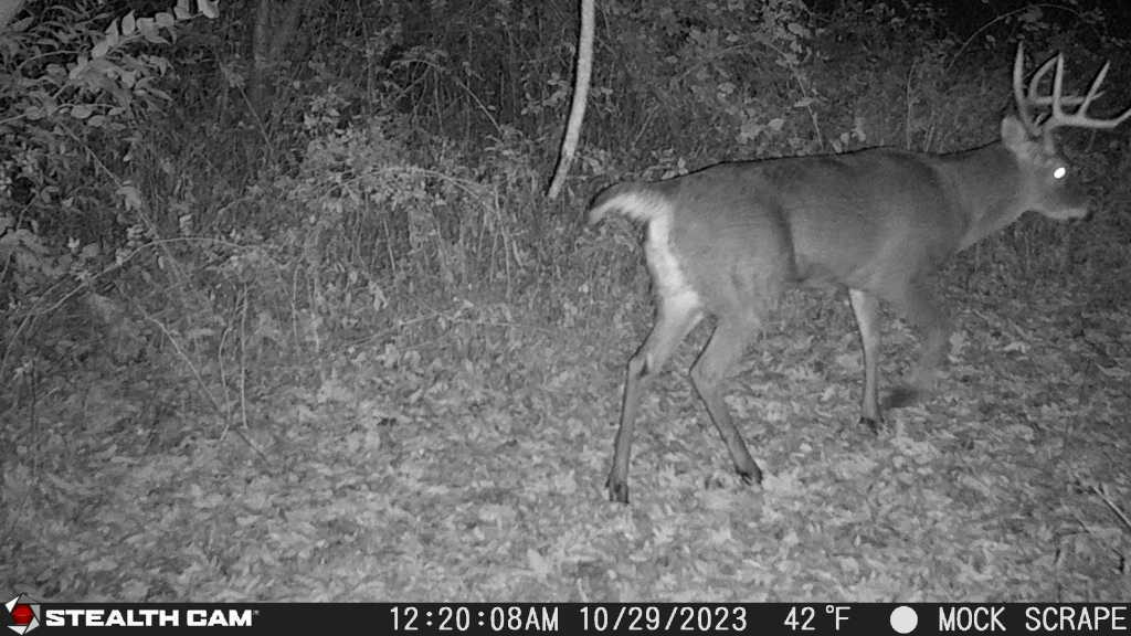 0 Lawrenceville Road Garden Prairie, IL 61038 - Photo 64 of 99 Gallery Image 64
