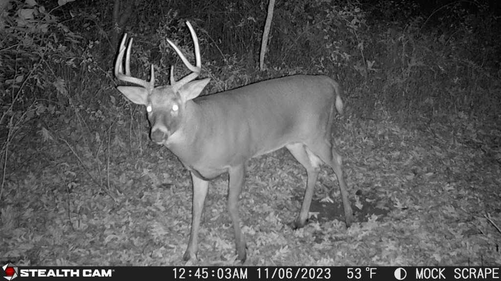 0 Lawrenceville Road Garden Prairie, IL 61038 - Photo 66 of 99 Gallery Image 66