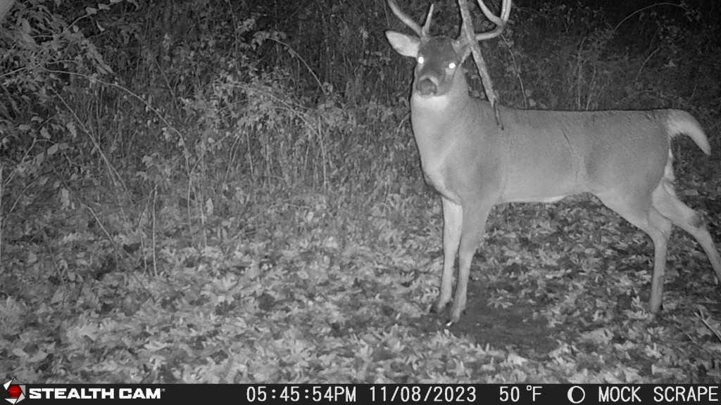 0 Lawrenceville Road Garden Prairie, IL 61038 - Photo 69 of 99 Gallery Image 69