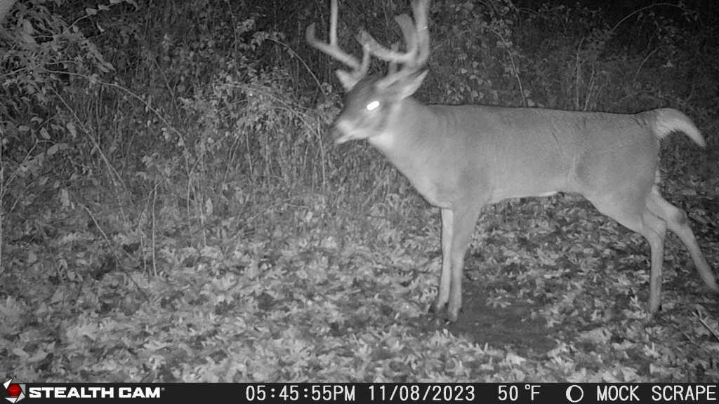 0 Lawrenceville Road Garden Prairie, IL 61038 - Photo 70 of 99 Gallery Image 70