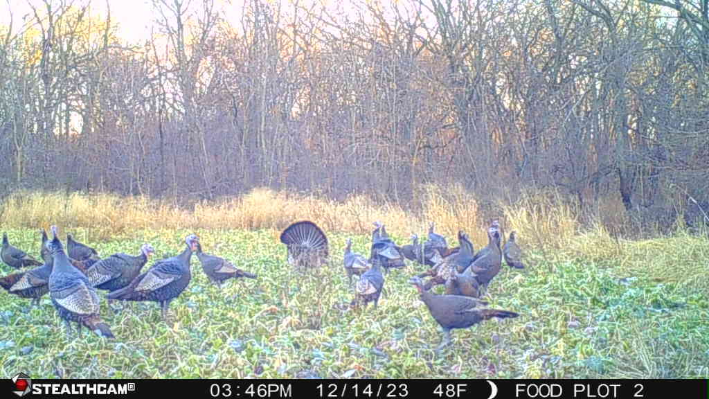 0 Lawrenceville Road Garden Prairie, IL 61038 - Photo 71 of 99 Gallery Image 71