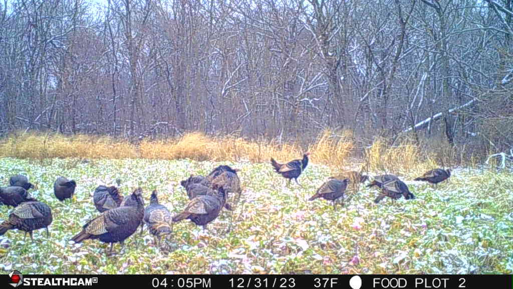 0 Lawrenceville Road Garden Prairie, IL 61038 - Photo 72 of 99 Gallery Image 72