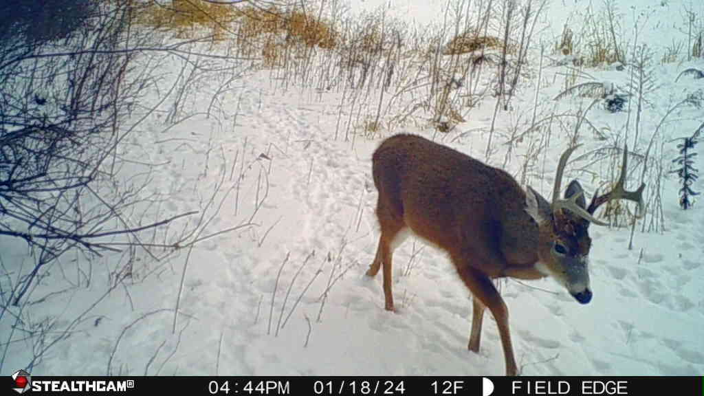 0 Lawrenceville Road Garden Prairie, IL 61038 - Photo 73 of 99 Gallery Image 73