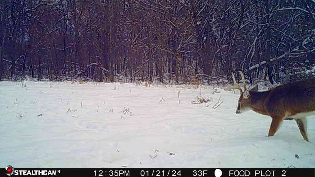 0 Lawrenceville Road Garden Prairie, IL 61038 - Photo 74 of 99 Gallery Image 74