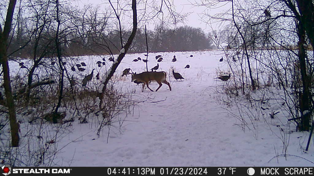 0 Lawrenceville Road Garden Prairie, IL 61038 - Photo 75 of 99 Gallery Image 75