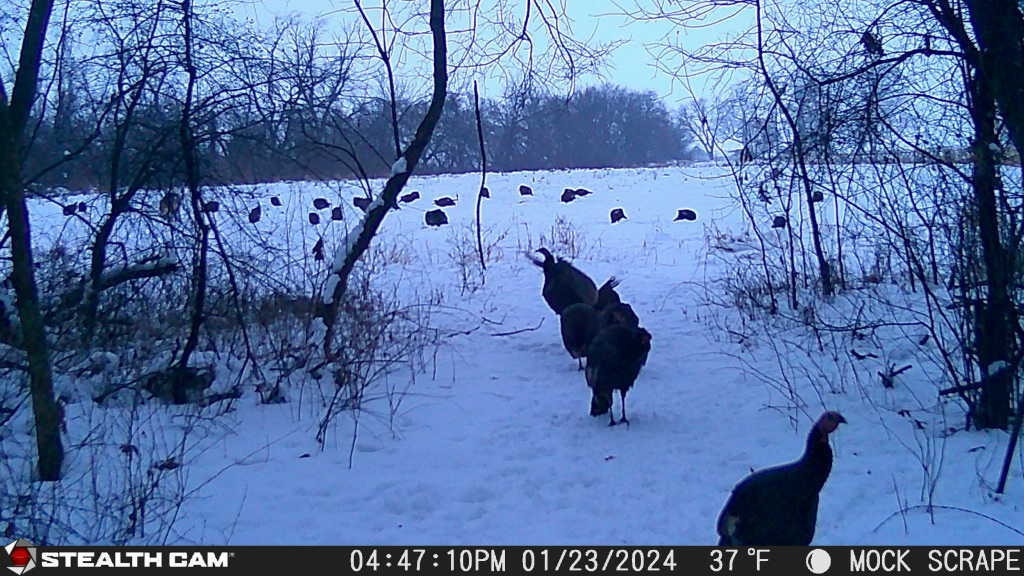 0 Lawrenceville Road Garden Prairie, IL 61038 - Photo 76 of 99 Gallery Image 76