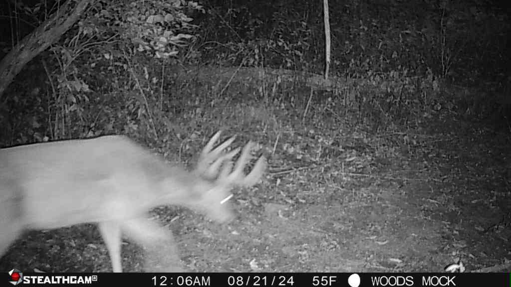 0 Lawrenceville Road Garden Prairie, IL 61038 - Photo 77 of 99 Gallery Image 77
