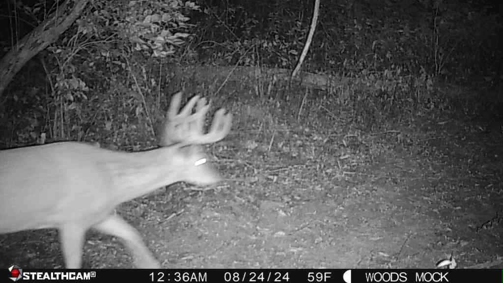 0 Lawrenceville Road Garden Prairie, IL 61038 - Photo 78 of 99 Gallery Image 78
