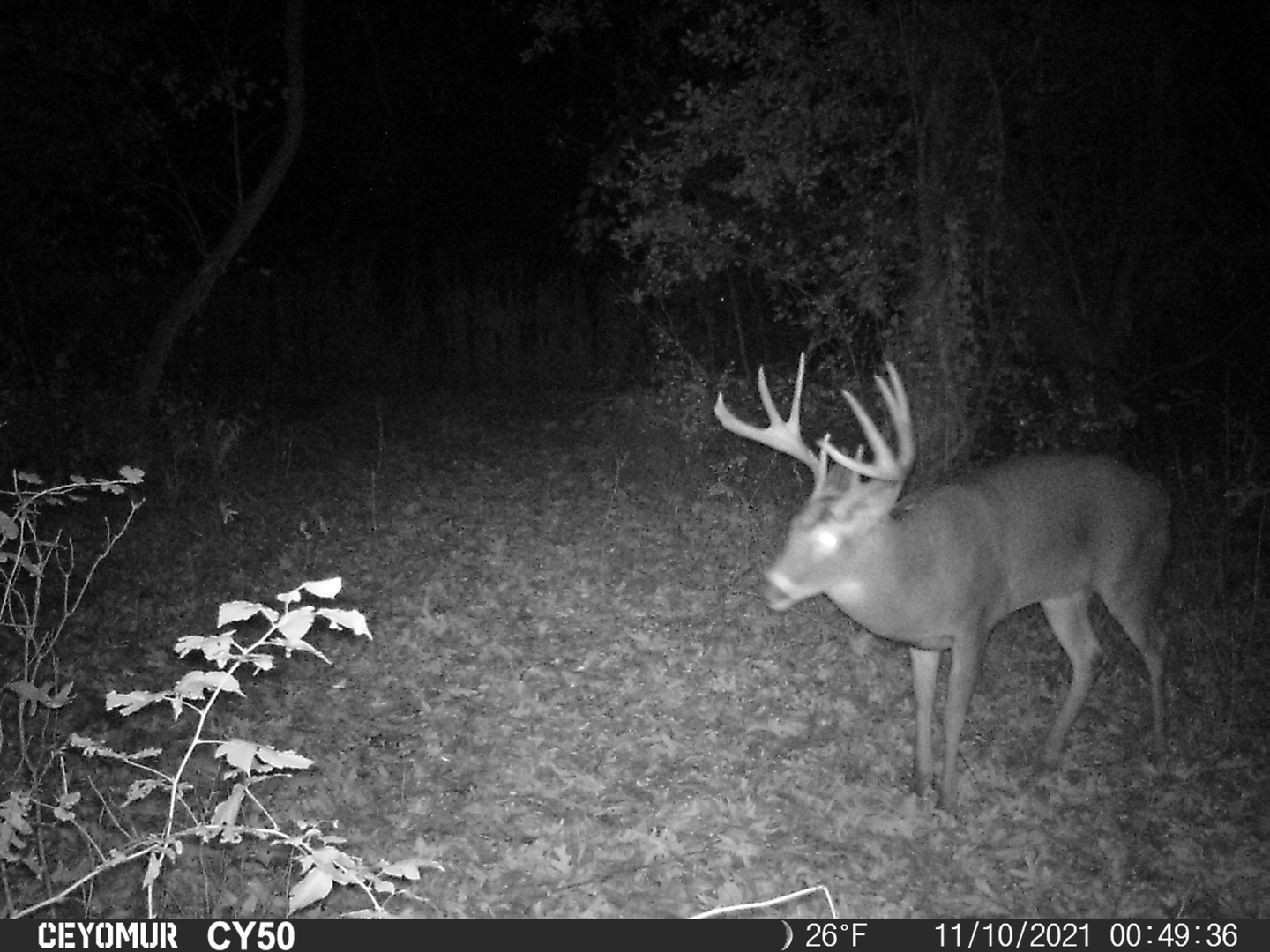 0 Lawrenceville Road Garden Prairie, IL 61038 - Photo 81 of 99 Gallery Image 81