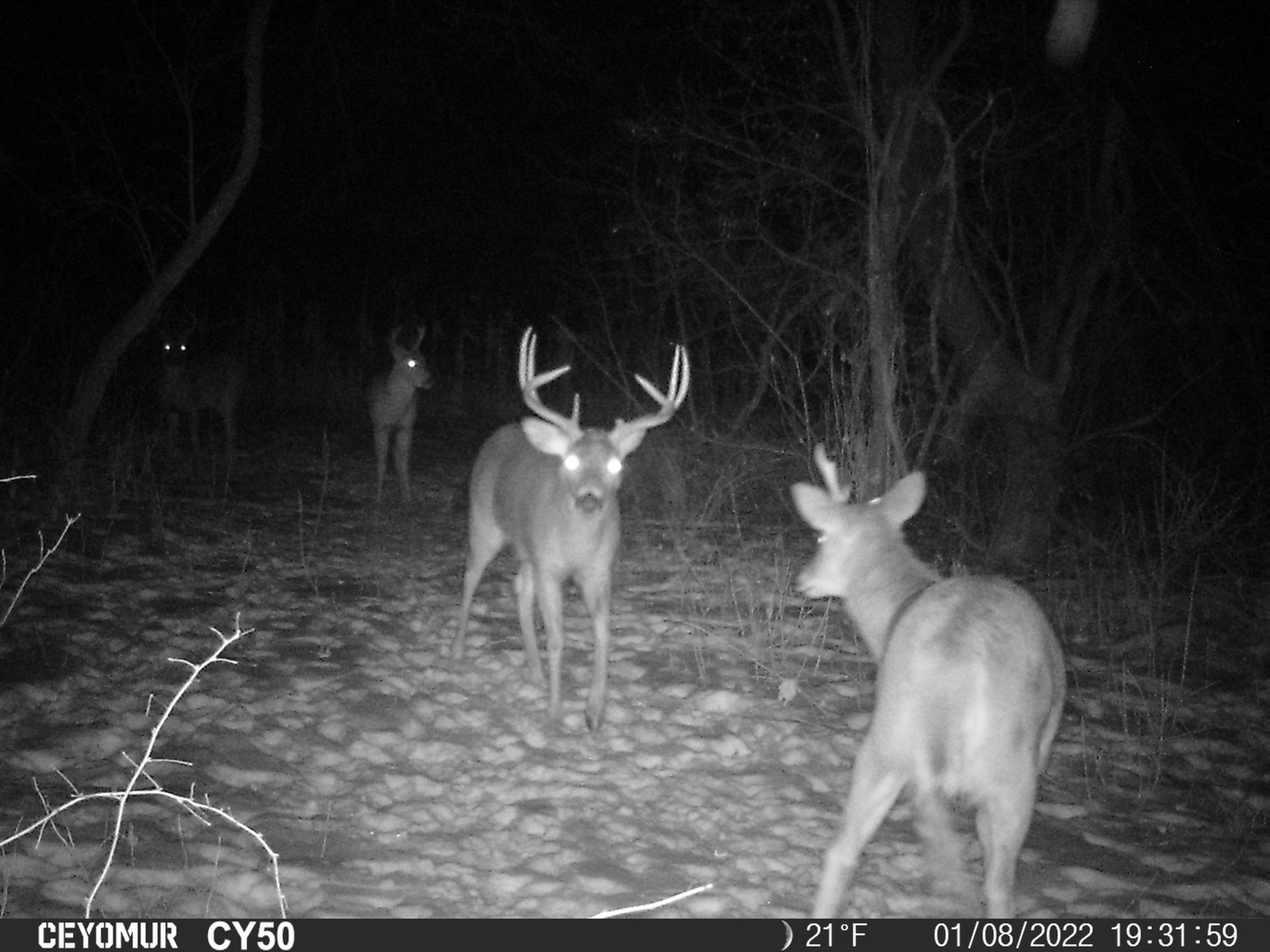 0 Lawrenceville Road Garden Prairie, IL 61038 - Photo 84 of 99 Gallery Image 84