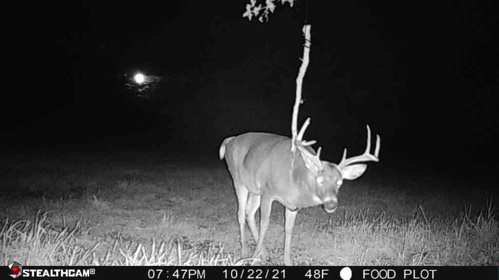 0 Lawrenceville Road Garden Prairie, IL 61038 - Photo 87 of 99 Gallery Image 87