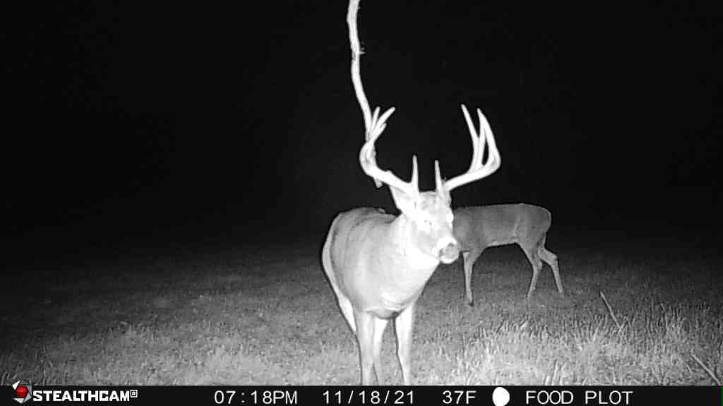 0 Lawrenceville Road Garden Prairie, IL 61038 - Photo 90 of 99 Gallery Image 90