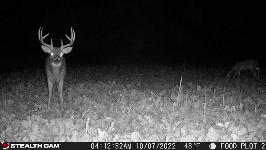 0 Lawrenceville Road Garden Prairie, IL 61038 - Photo 92 of 99 Gallery Image 92