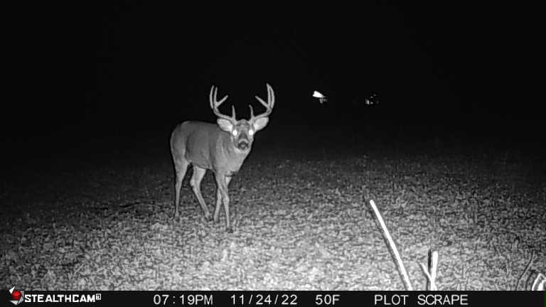 0 Lawrenceville Road Garden Prairie, IL 61038 - Photo 93 of 99 Gallery Image 93
