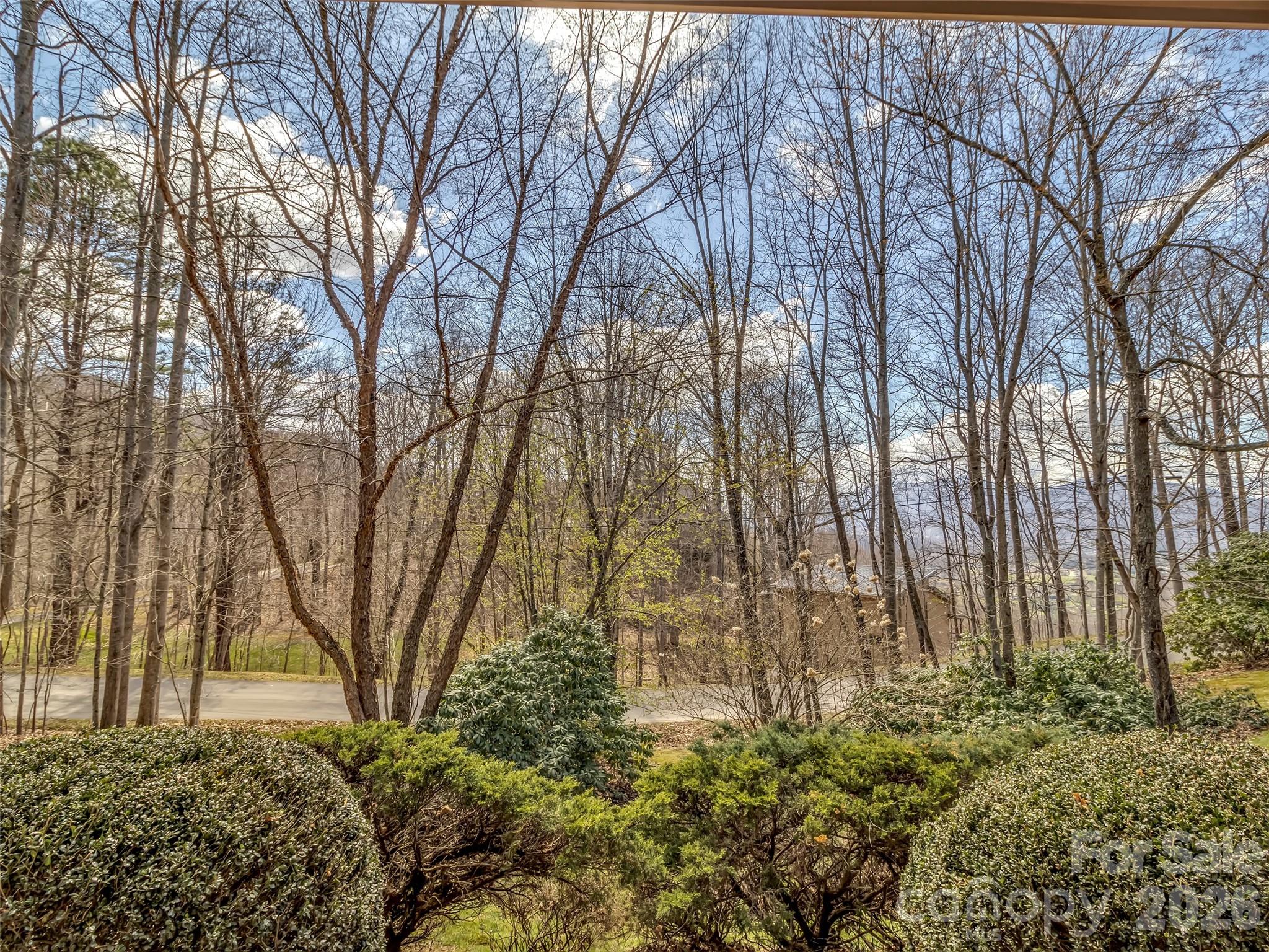 523 Brandywine Road Waynesville, NC 28786 - Photo 36 of 46