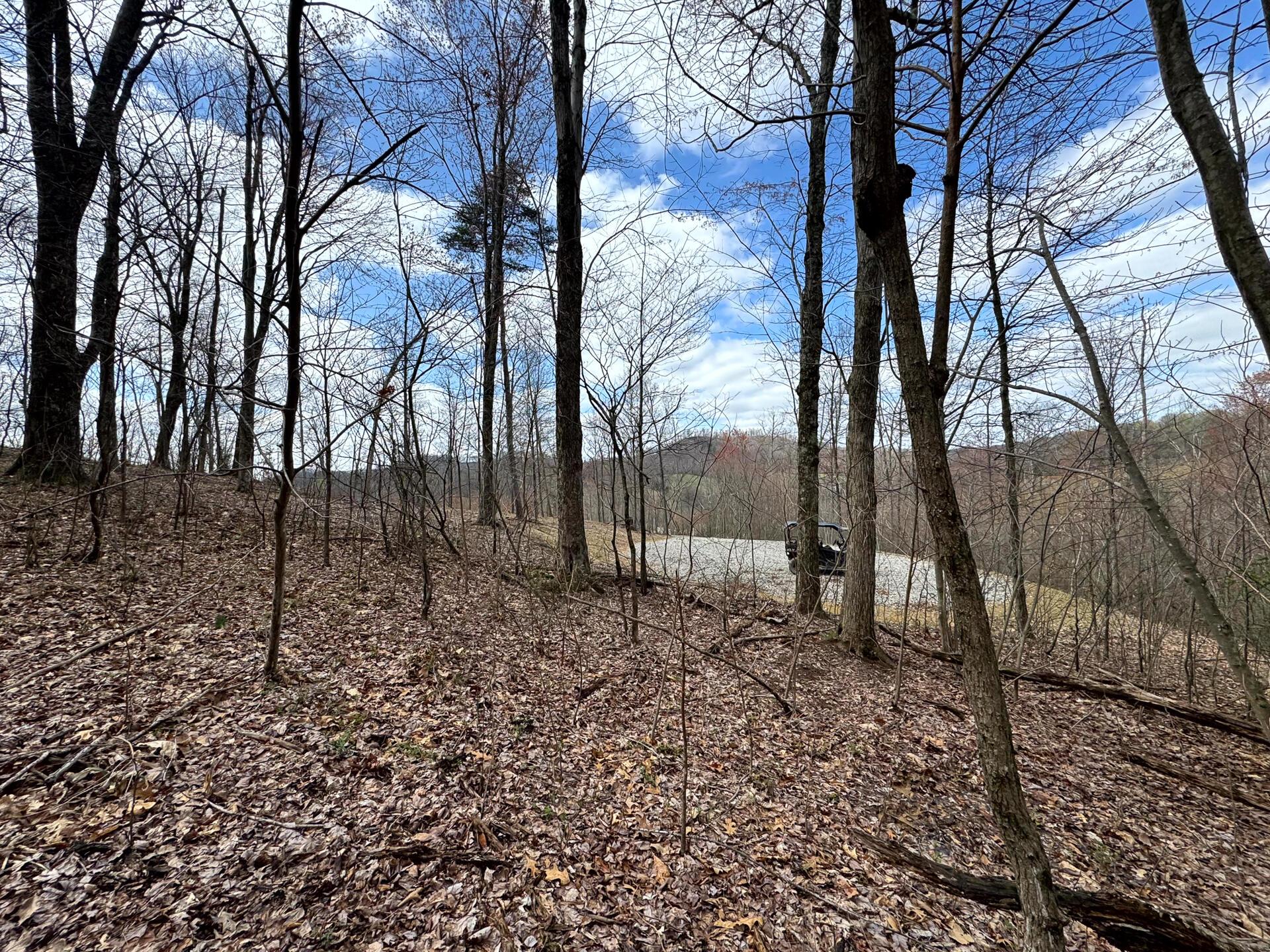 100 Golf Course Road, Unit TRACT 12 SKYLINE ACRES) Waverly, OH 45690 - Photo 35 of 44 CT-35