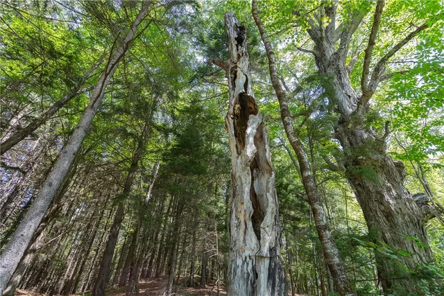 $780,000 | 183 West Kill Road, Jefferson, NY 12093