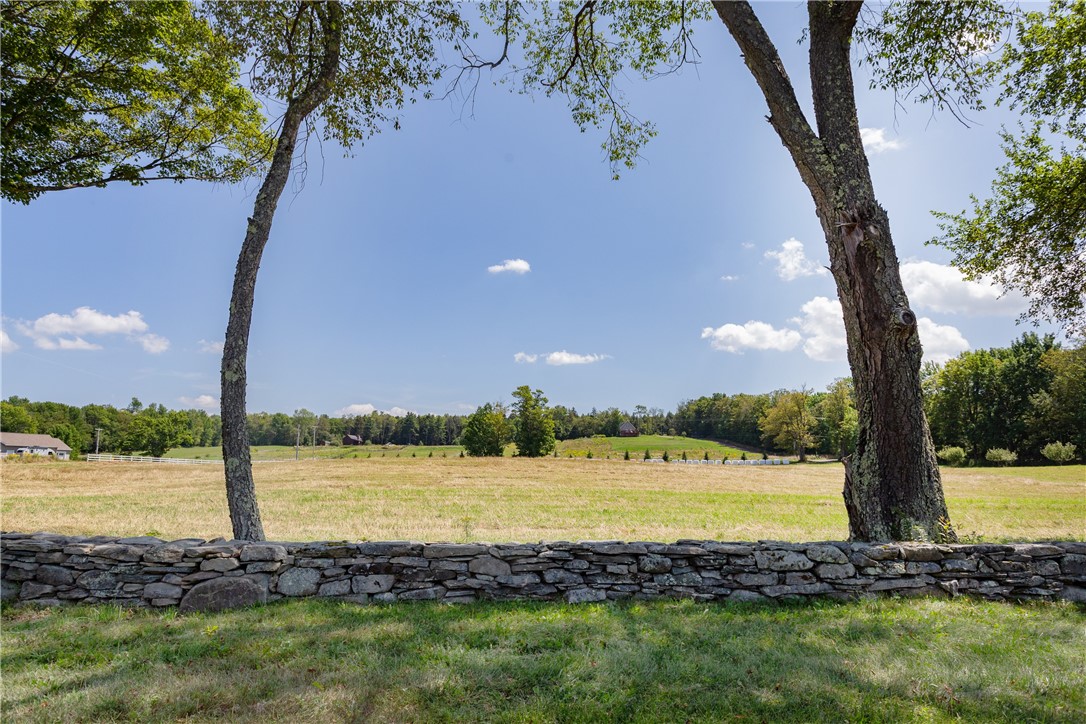 183 West Kill Road Jefferson, NY 12093 - Photo 25 of 39