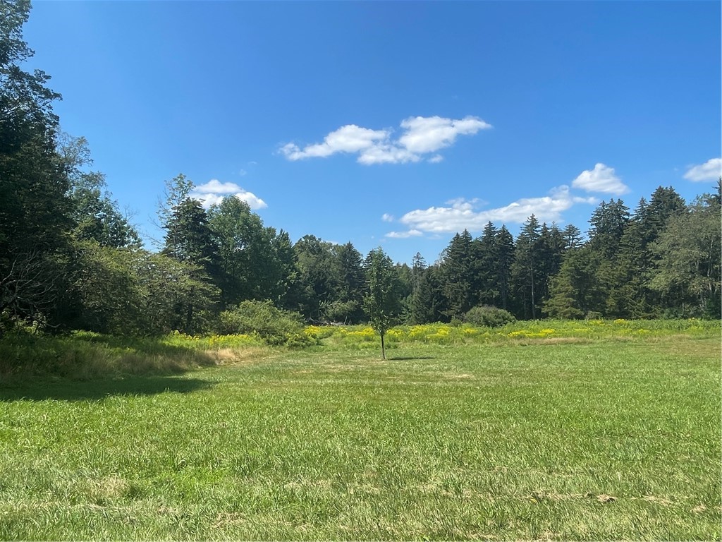 183 West Kill Road Jefferson, NY 12093 - Photo 29 of 39