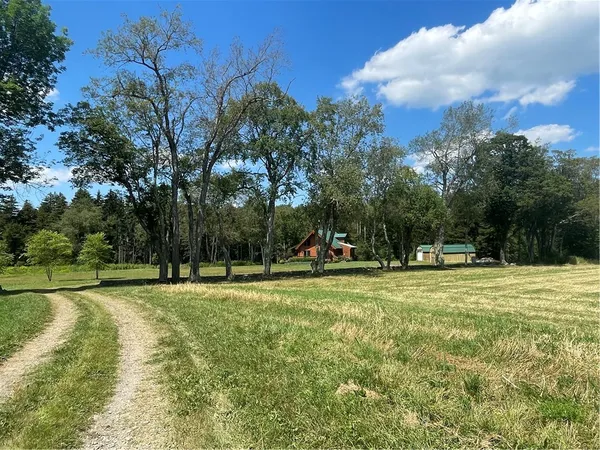 $780,000 | 183 West Kill Road, Jefferson, NY 12093