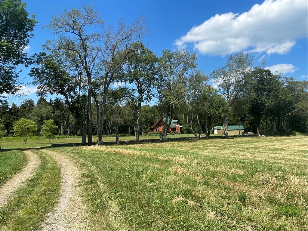 183 West Kill Road Jefferson, NY 12093 - Photo 30 of 39