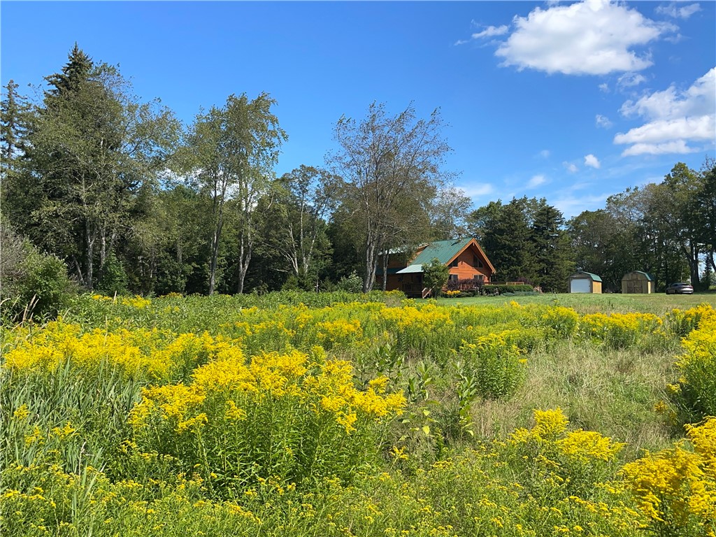 183 West Kill Road Jefferson, NY 12093 - Photo 3 of 39