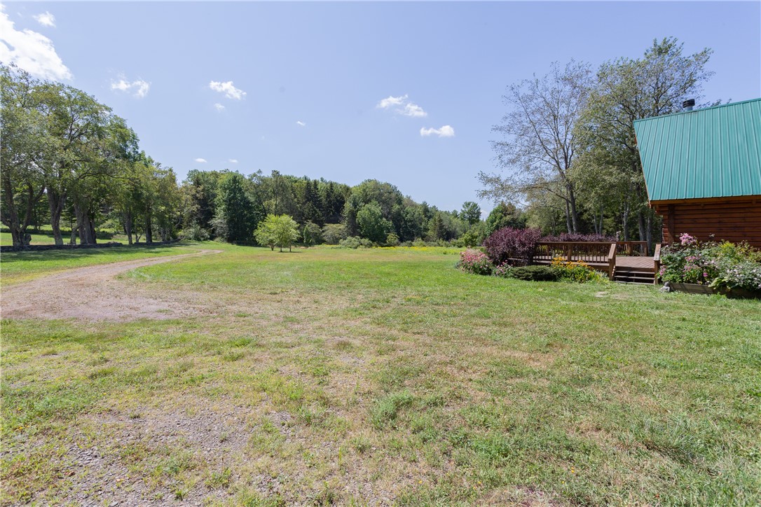 183 West Kill Road Jefferson, NY 12093 - Photo 31 of 39