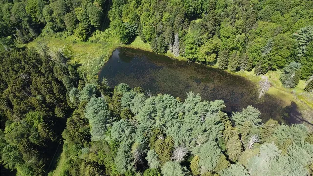 $780,000 | 183 West Kill Road, Jefferson, NY 12093