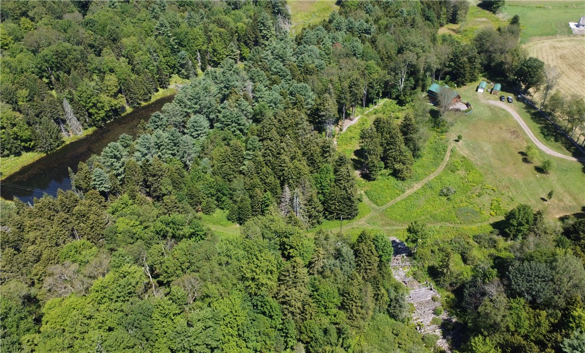 183 West Kill Road Jefferson, NY 12093 - Photo 34 of 39