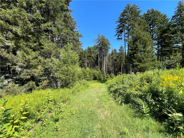 $780,000 | 183 West Kill Road, Jefferson, NY 12093