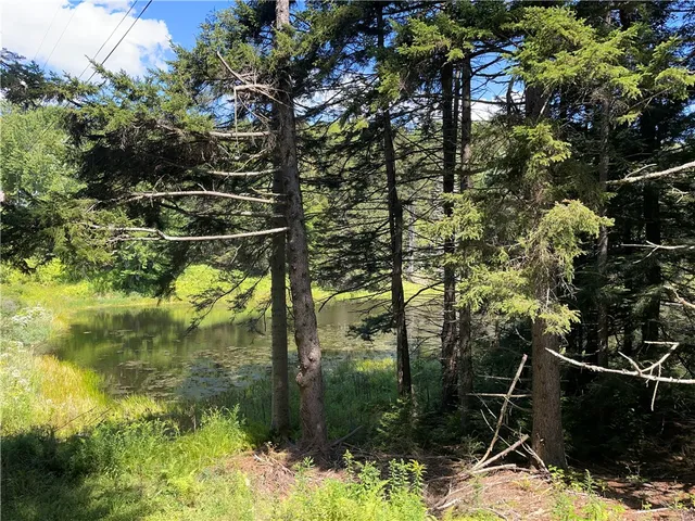 $780,000 | 183 West Kill Road, Jefferson, NY 12093