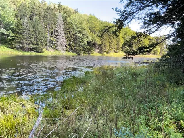 $780,000 | 183 West Kill Road, Jefferson, NY 12093