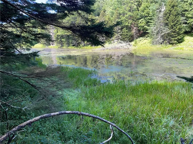 $780,000 | 183 West Kill Road, Jefferson, NY 12093