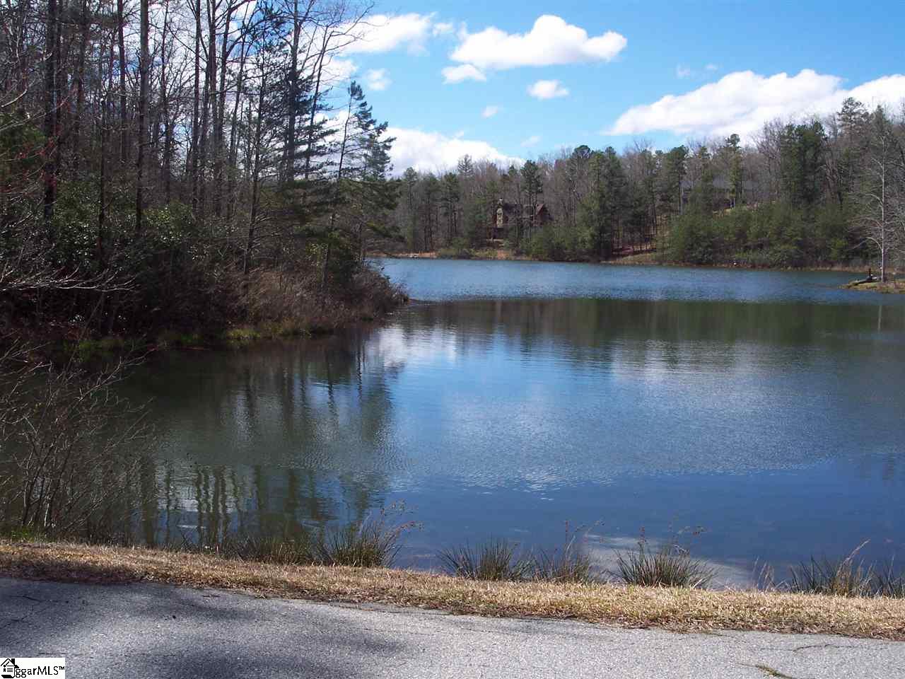 0 Bluff Ridge Road, Unit LOT 8A BLUFF RIDGE RD Cleveland, SC 29635 - Photo 2 of 33