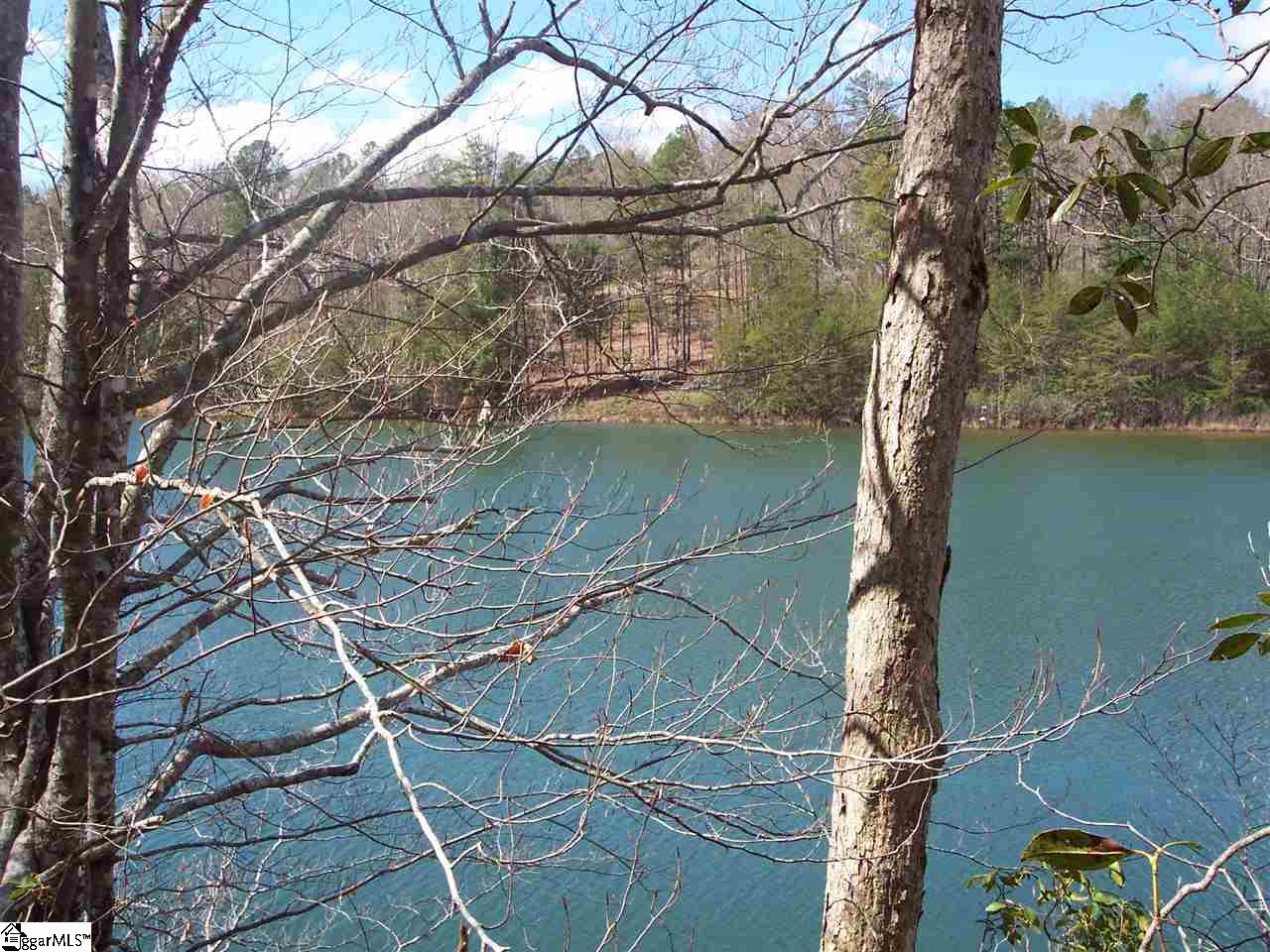 0 Bluff Ridge Road, Unit LOT 8A BLUFF RIDGE RD Cleveland, SC 29635 - Photo 11 of 33