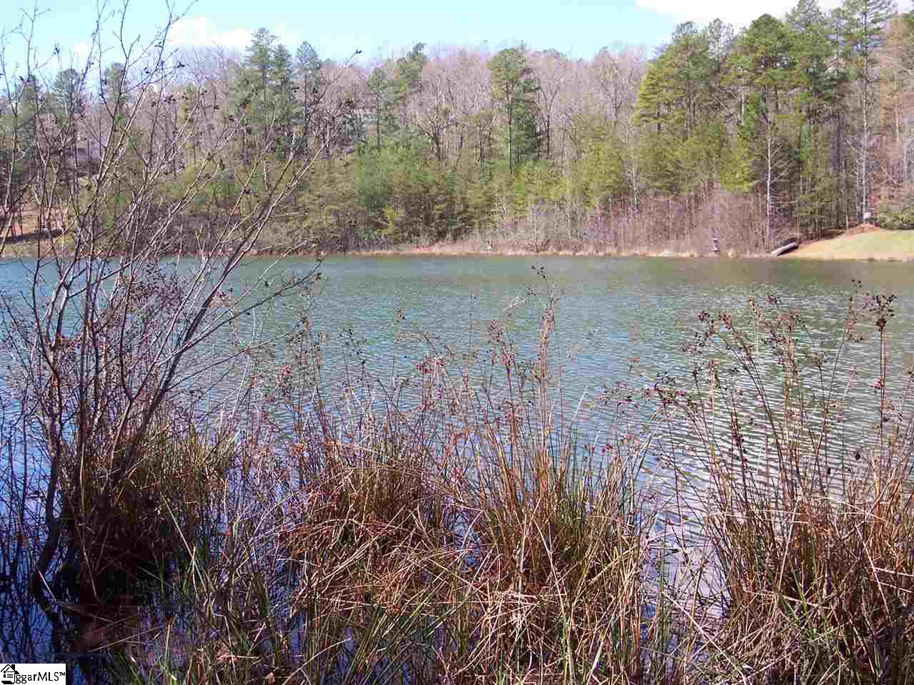 0 Bluff Ridge Road, Unit LOT 8A BLUFF RIDGE RD Cleveland, SC 29635 - Photo 14 of 33