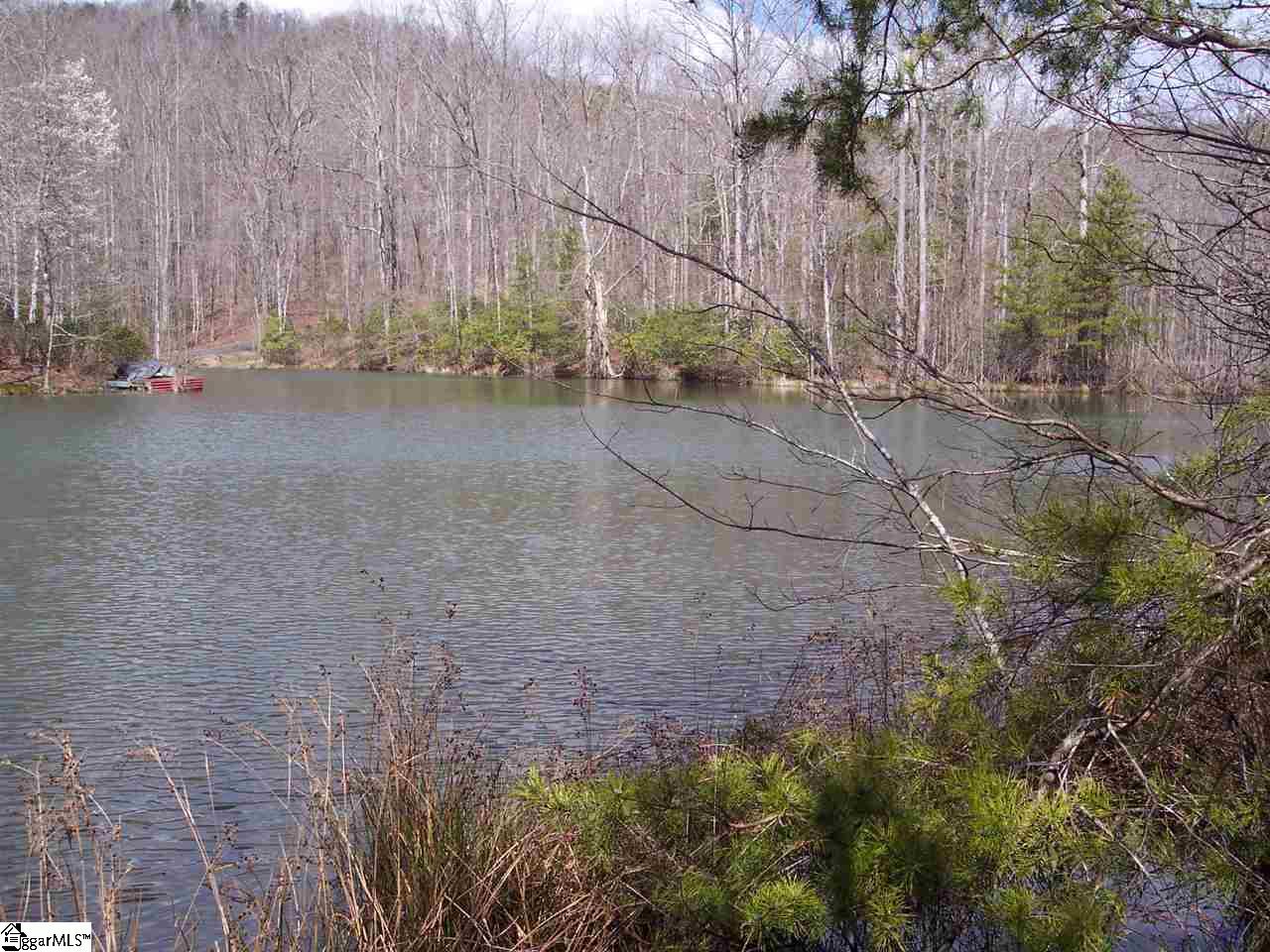 0 Bluff Ridge Road, Unit LOT 8A BLUFF RIDGE RD Cleveland, SC 29635 - Photo 17 of 33