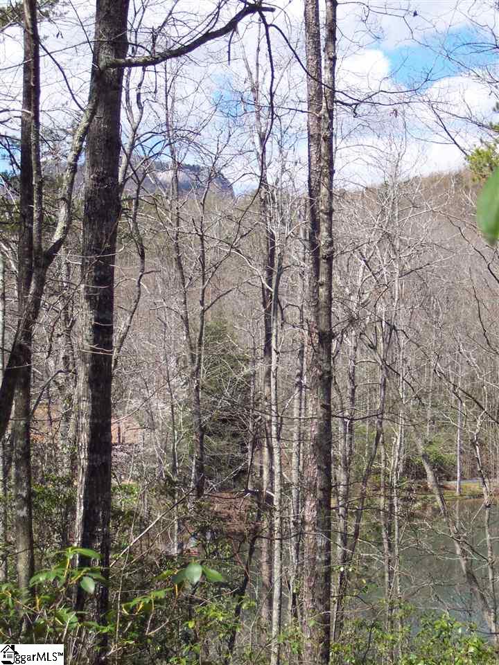 0 Bluff Ridge Road, Unit LOT 8A BLUFF RIDGE RD Cleveland, SC 29635 - Photo 20 of 33