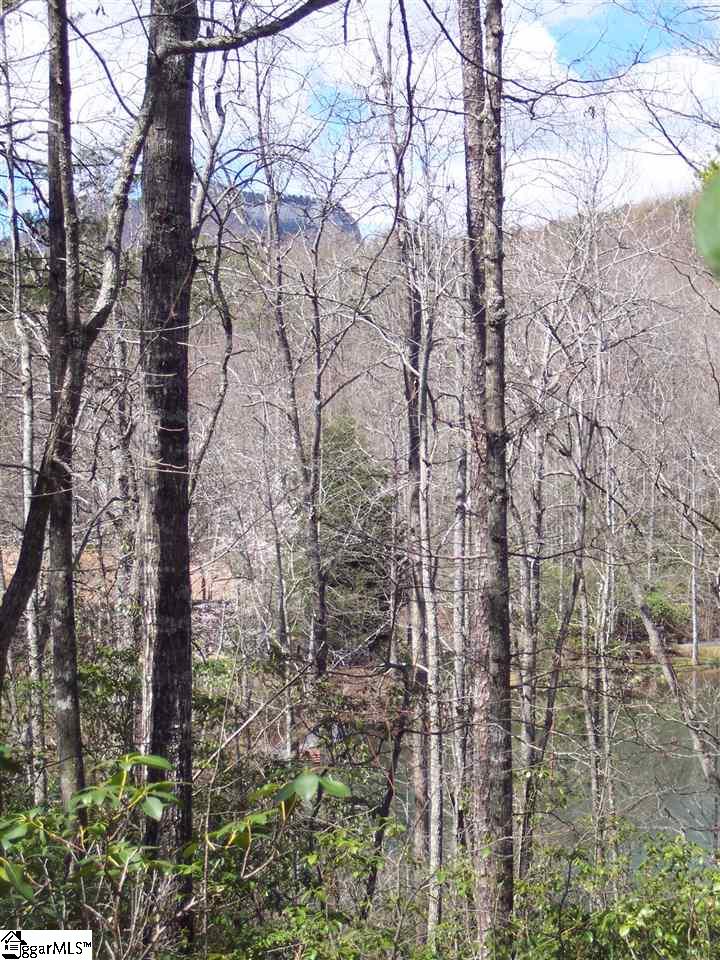 0 Bluff Ridge Road, Unit LOT 8A BLUFF RIDGE RD Cleveland, SC 29635 - Photo 21 of 33